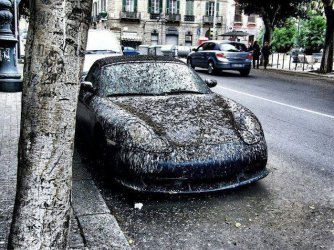 porsche.jpg