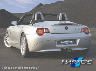 z4specialheaderfra.jpg