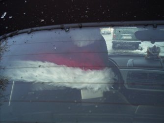 PIC00016.JPG