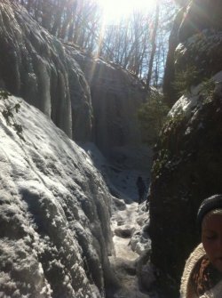 IMG_1004.JPG