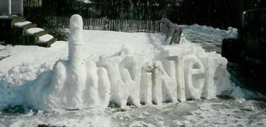 wintermit.jpg
