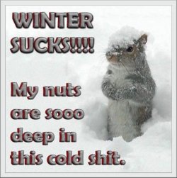 winter_sucks.jpg