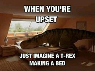 ImageUploadedByzroadster.com1365680754.734516.jpg