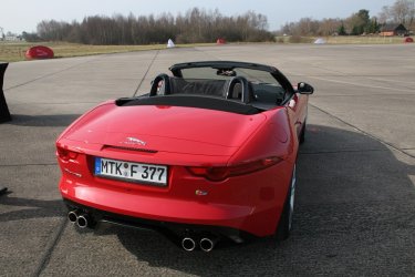 _V8S_Hintern.jpg