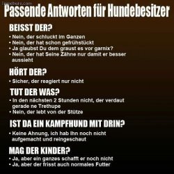 Hundebesitzer passende Antworten.jpg