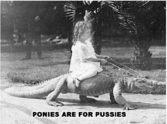 Ponies are for Pussies.jpg