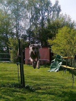 ...ist schöner..jpg