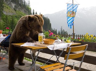 Bierle....jpg