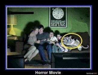 Horrormovie.jpg
