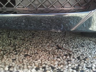 2013-04-24 12.32.36.jpg