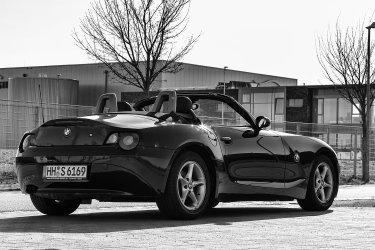 IMG_0064-z4-bw.jpg