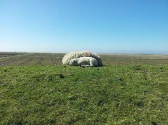 20130504_153959-400.jpg 20130504_153959-400.jpg