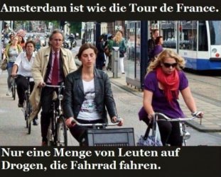 Radfahren in Amsterdam.jpg