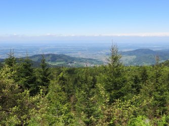 IMG_1518.JPG