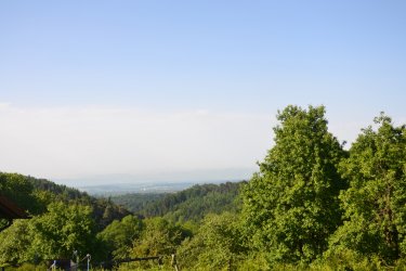 DSC_3506.JPG