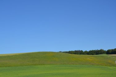 DSC_3509.JPG