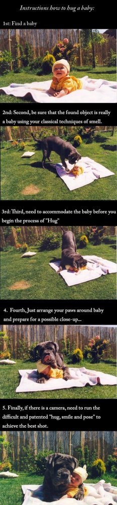 how_to_hug_a_baby.jpg