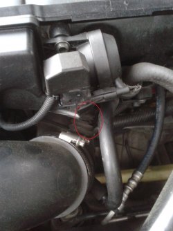 Schlauch Motorraum.jpg