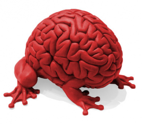brainfrog.png