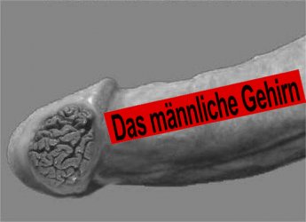 das_mnnliche_Gehirn.jpg