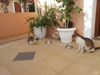 Kreta.jpg