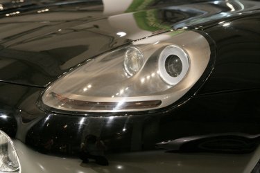 WR8B2115.JPG