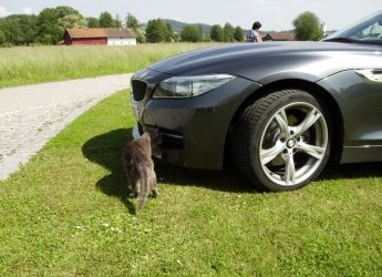 Z 4 mit Mischa 9.6.13 010.JPG