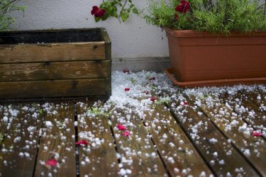 DSC_0884.jpg DSC_0884.jpg