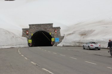 IMG_2355.jpg