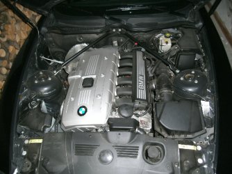 PICT0161c.jpg