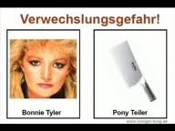 Verwechslungsgefahr bonnie tyler.jpg