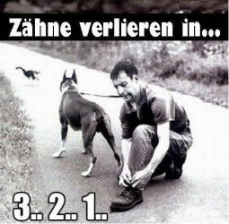 Zähne verlieren in 3...2...1.jpg