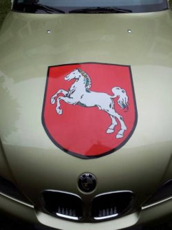 1373806173473.jpg
