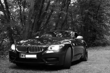 Front SW.jpg