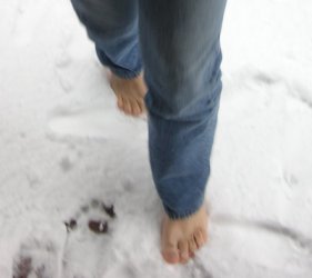 PICT8314.jpg
