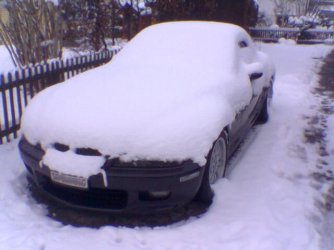 zettischnee2.jpg