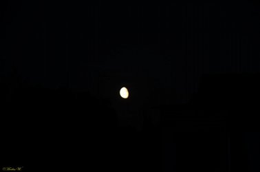 Mond-Ei (2).jpg