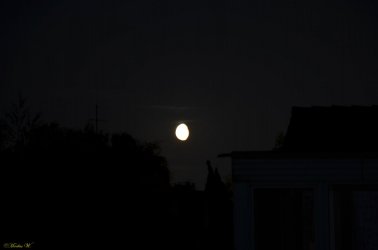 Mond-Ei (3).jpg