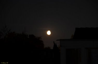Mond-Ei (4).jpg