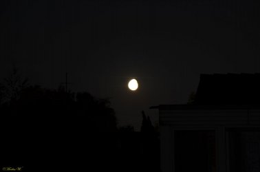 Mond-Ei (5).jpg