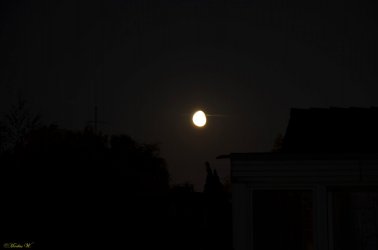 Mond-Ei (6).jpg