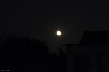 Mond-Ei (7).jpg