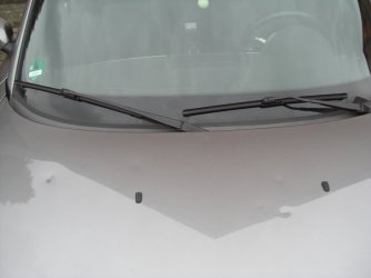 CIMG3635.JPG