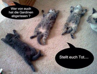 Tot.jpg