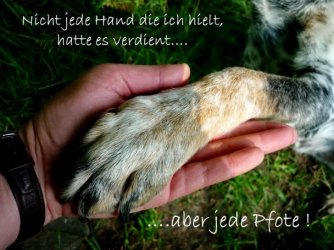 Pfoetchen.jpg
