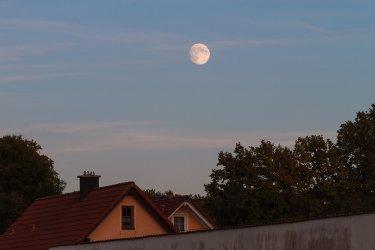 IMG_0297-affalterthal.jpg