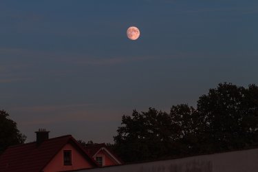 IMG_0303-affalterthal.jpg