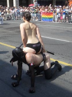 gimp.jpg