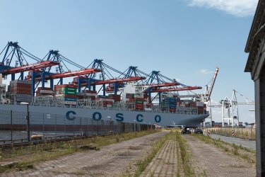 comp_IMG_0039-hafen.jpg