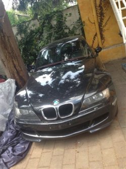 IMG_7513.jpg